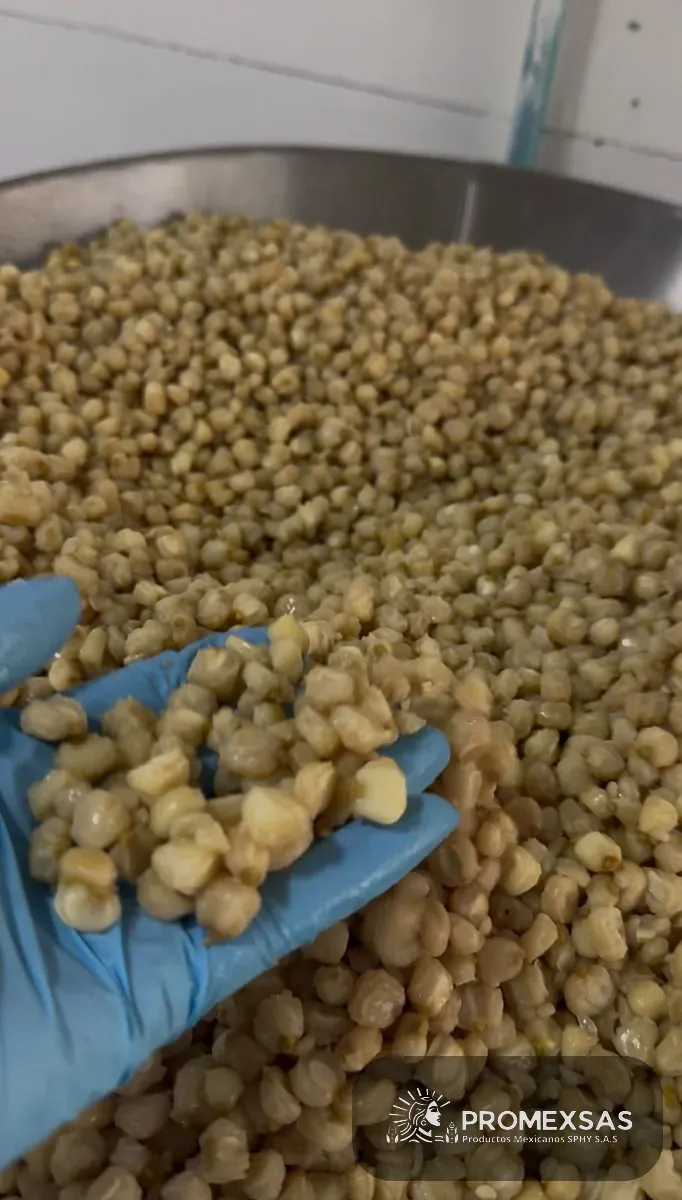 Grano de maíz nixtamalizado revisado a mano como control de calidad en PROMEXSAS