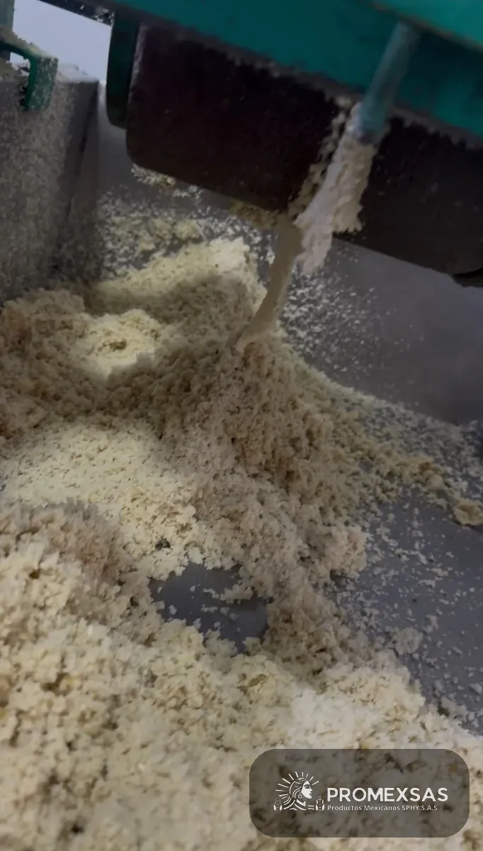 Molienda del maíz nixtamalizado para obtener masa fresca