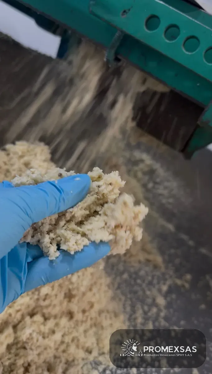 Textura de la masa de maíz nixtamalizado recién molida, elástica y sin harinas genéricas