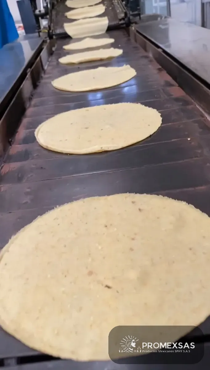 Tortillas de maíz nixtamalizado en la línea de producción de PROMEXSAS antes del empaque