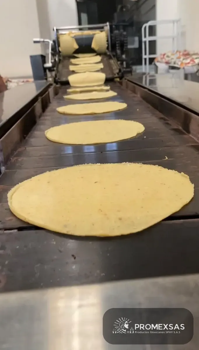 Tortillas de maíz recién troqueladas saliendo hacia el horno