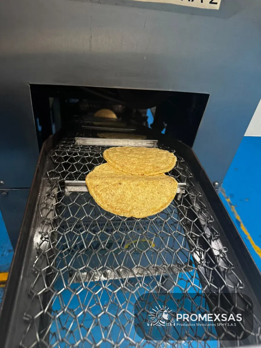 Paso 4: tortilla de maíz nixtamalizado pasando por el horno de banda